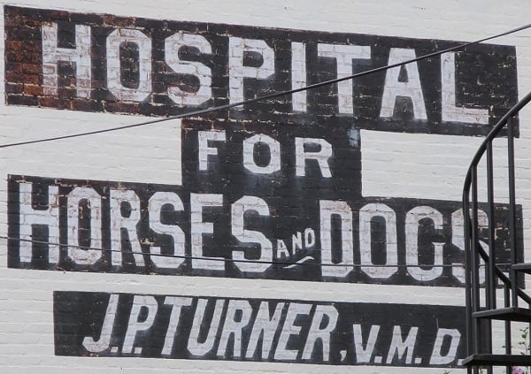 Painted sign on a wall advertising 'Hospital for Horses and Dogs'
