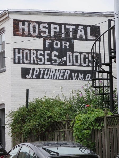 Painted sign on a wall advertising 'Hospital for Horses and Dogs'
